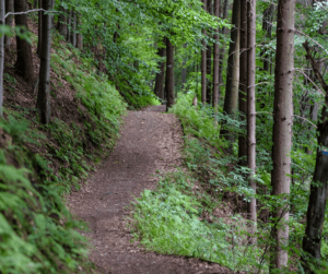 free spring break ideas hiking membership toolkit