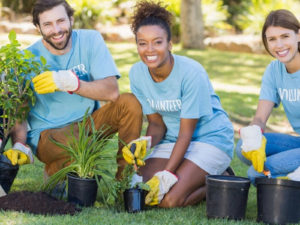 Ways to say Thank You to volunteers