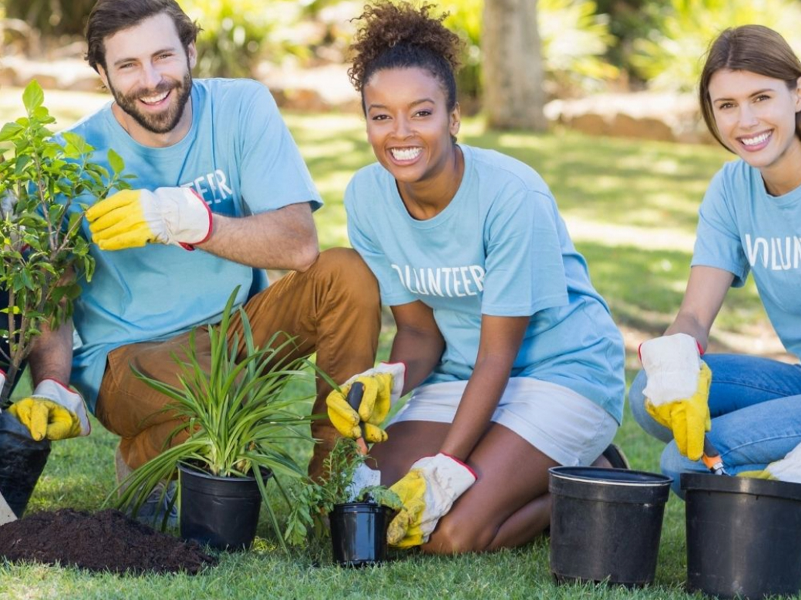 Ways to say Thank You to volunteers