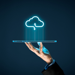 Our PTA software comes with ample online storage to help manage important information.