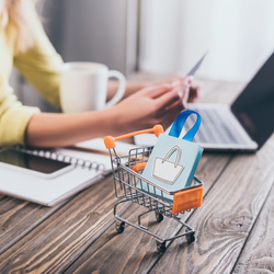 Create a simple online storefront with our powerful software
