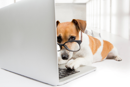 Top 7 Things to Include on your PTA website