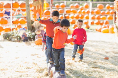 PTA Fundraising Ideas- Fall Fest